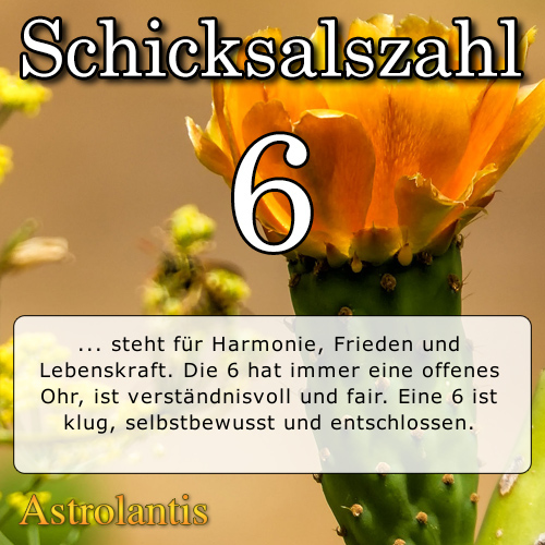 Schicksalszahl