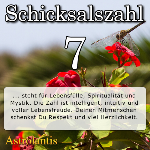 Schicksalszahl