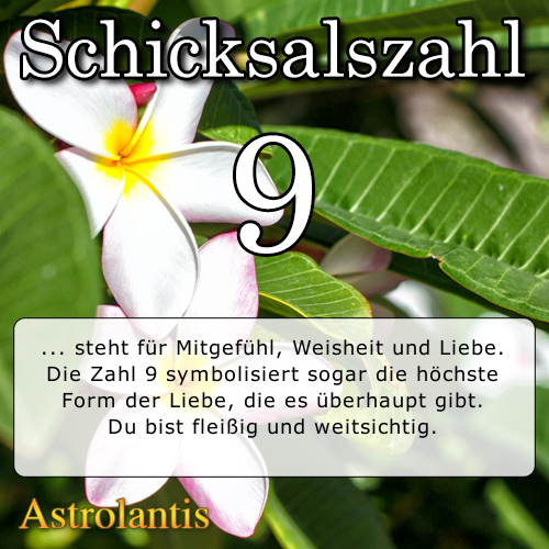 Schicksalszahl