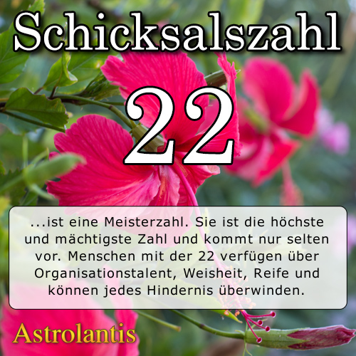 Schicksalszahl