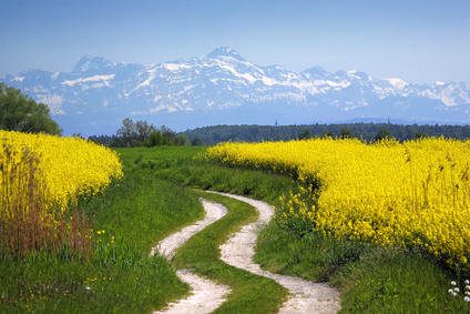 Wahrsagen Schweiz