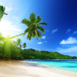 Traumdeutung Urlaub