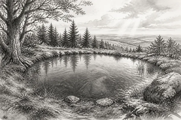 Schwarz-weiße Illustration: Frau-Holle-Teich